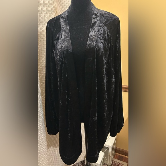 ODDY Anthropologie Black Velvet Garment - Picture 3 of 10
